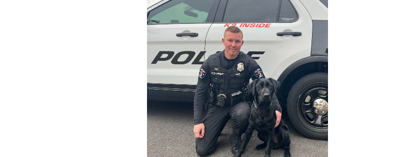 New England Canine Search & Rescue Inc
