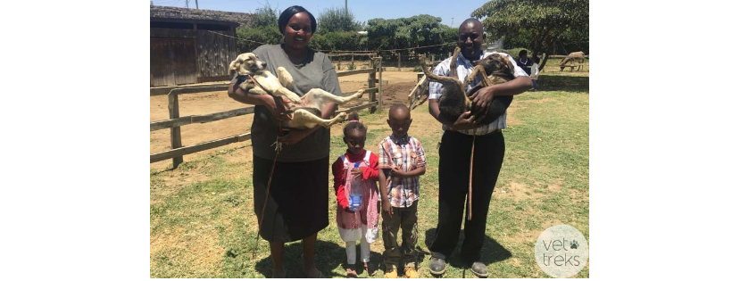 Vet Treks Foundation