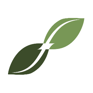 FaithTree Christian Fellowship, Inc.