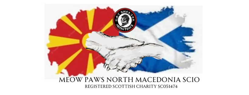 Meow Paws North Macedonia