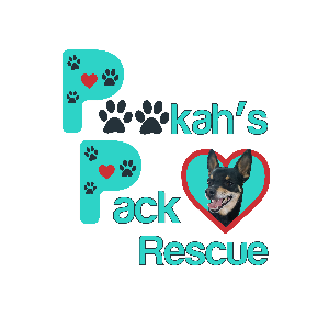 Pookah's Pack Rescue Logo