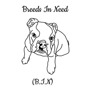 Breeds in Need Rescue UK
