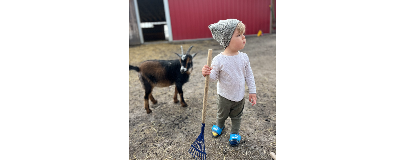 Kismet Creek Farm