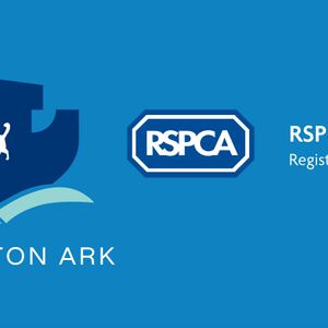 RSPCA Solent Branch