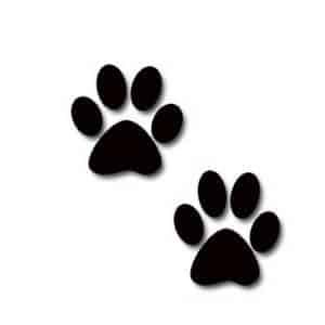 Dindi Dog Rescue Inc Logo