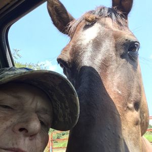 Lonesome Dove Equine Protection Logo