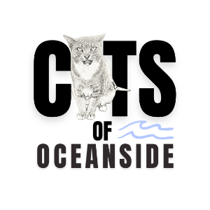 Cats of Oceanside