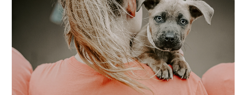 Humane Society of North Texas