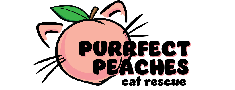 Purrfect Peaches Cat Rescue