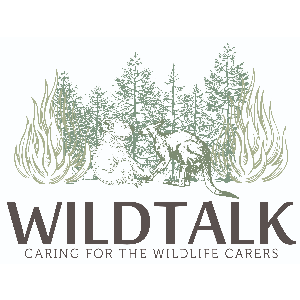 Wildtalking Ltd