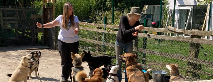 Holbrook Animal Rescue