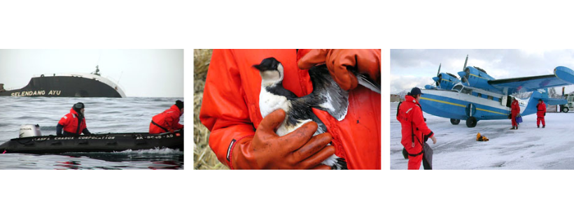 International Bird Rescue