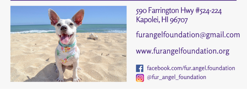 Fur Angel Foundation