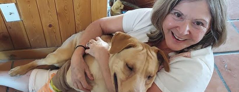 Cochise Canine Rescue