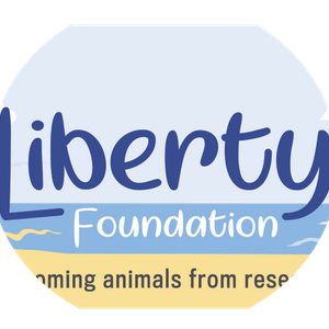 Liberty Foundation Australia