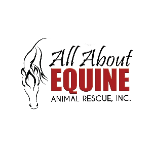 All About Equine Animal Rescue