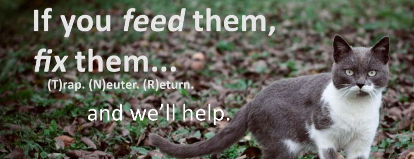 Garden City Community Cats Project