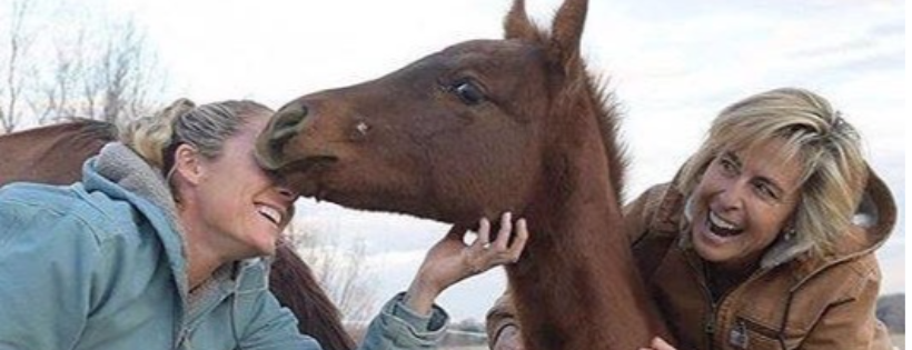 Believe Ranch and Rescue