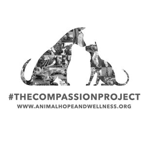 Animal Hope and Wellness Foundation Logo
