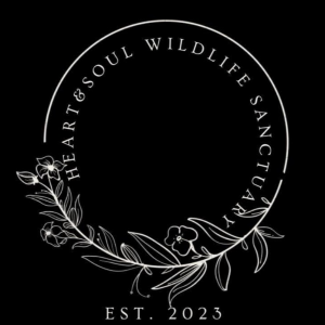 Heart & soul wildlife sanctuary off WNC Logo