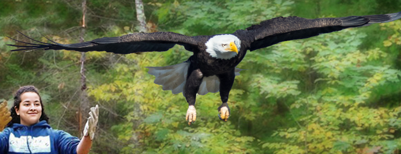 Northwoods Wildlife Center