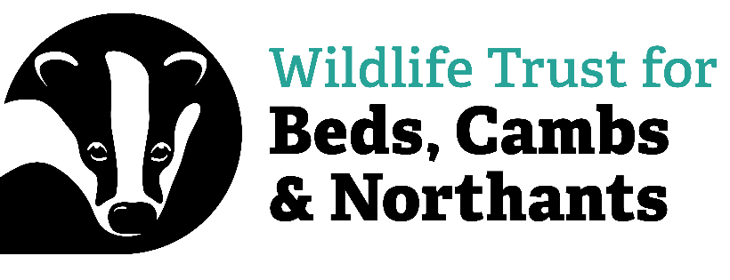 The Wildlife Trust BCN