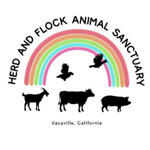 Herd & Flock Animal Sanctuary