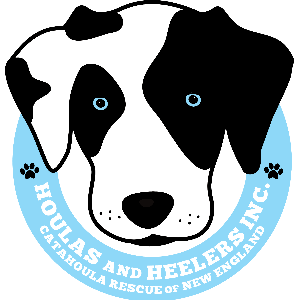 Catahoula Rescue of New England Logo