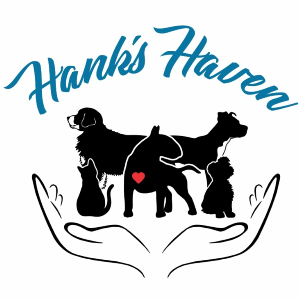 Hank’s Haven Rescue Foundation (12107864 Canada Foundation)